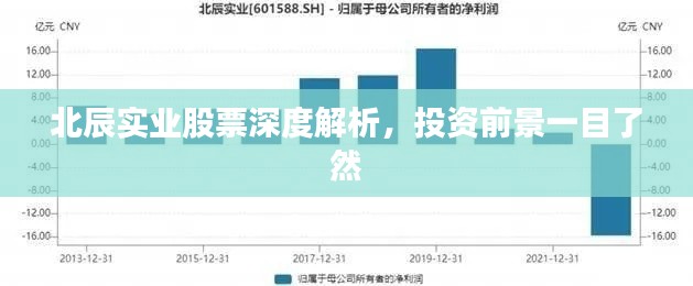 北辰實業(yè)股票深度解析，投資前景一目了然