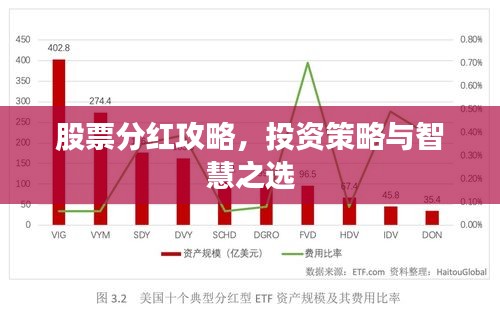 股票分紅攻略，投資策略與智慧之選