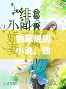 獨家規(guī)則小說，獨家jiyi 