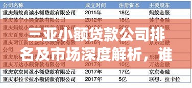 三亞小額貸款公司排名及市場深度解析，誰是行業(yè)佼佼者？