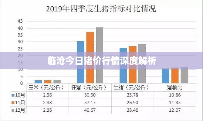 臨滄今日豬價行情深度解析