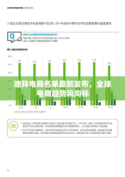 迪拜電商名單最新發(fā)布，全球電商趨勢(shì)風(fēng)向標(biāo)