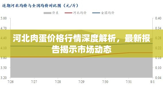 河北肉蛋價(jià)格行情深度解析，最新報(bào)告揭示市場(chǎng)動(dòng)態(tài)