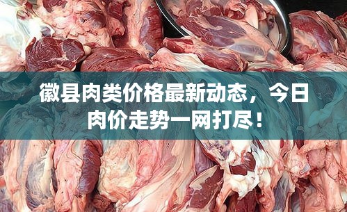 徽縣肉類價格最新動態(tài)，今日肉價走勢一網(wǎng)打盡！