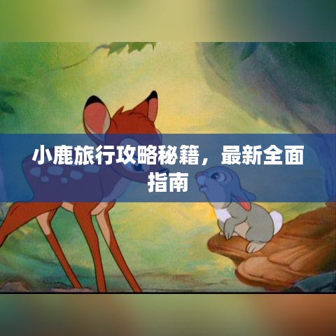 小鹿旅行攻略秘籍，最新全面指南