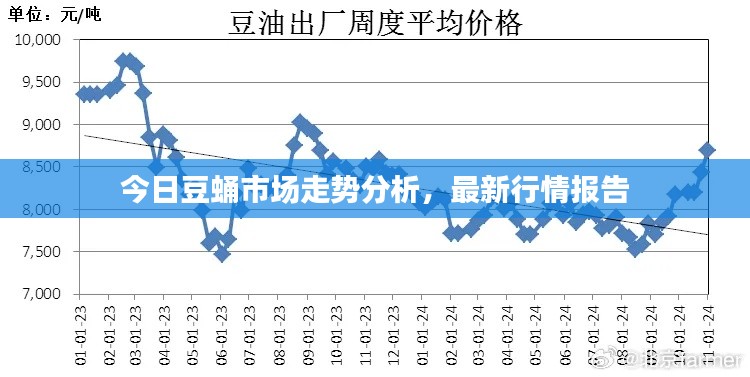 今日豆蛹市場走勢分析，最新行情報告