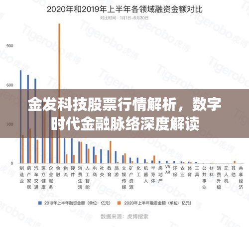 金發(fā)科技股票行情解析，數(shù)字時代金融脈絡深度解讀