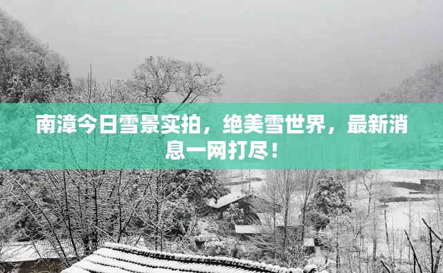 南漳今日雪景實(shí)拍，絕美雪世界，最新消息一網(wǎng)打盡！