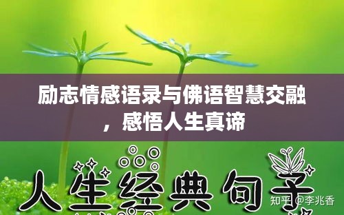 勵(lì)志情感語錄與佛語智慧交融，感悟人生真諦