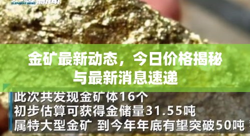 金礦最新動態(tài)，今日價格揭秘與最新消息速遞