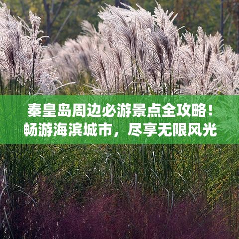 秦皇島周邊必游景點全攻略！暢游海濱城市，盡享無限風光