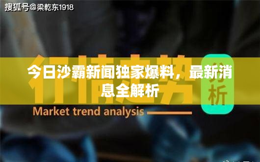 今日沙霸新聞獨(dú)家爆料，最新消息全解析