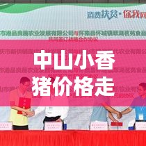 中山小香豬價(jià)格走勢大揭秘，最新行情分析！