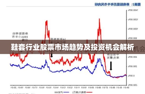 鞋套行業(yè)股票市場趨勢及投資機(jī)會解析