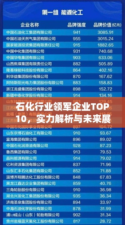 石化行業(yè)領(lǐng)軍企業(yè)TOP10，實(shí)力解析與未來展望