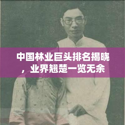 中國林業(yè)巨頭排名揭曉，業(yè)界翹楚一覽無余