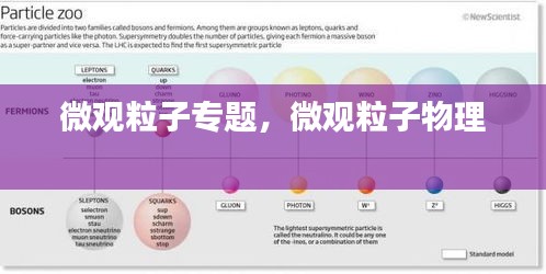 微觀粒子專題，微觀粒子物理 