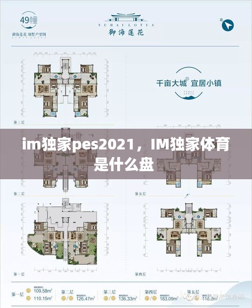 im獨(dú)家pes2021，IM獨(dú)家體育是什么盤 