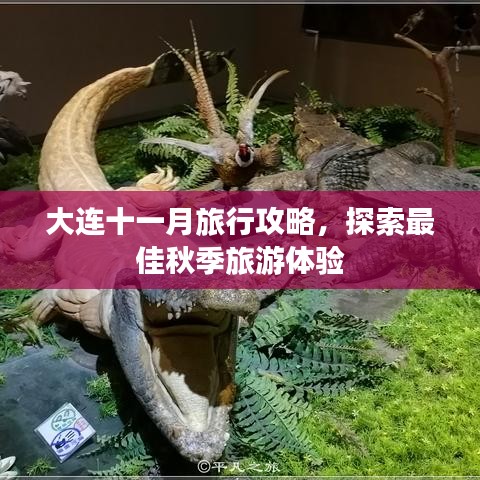 大連十一月旅行攻略，探索最佳秋季旅游體驗