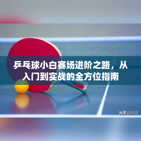 乒乓球小白賽場進階之路，從入門到實戰(zhàn)的全方位指南