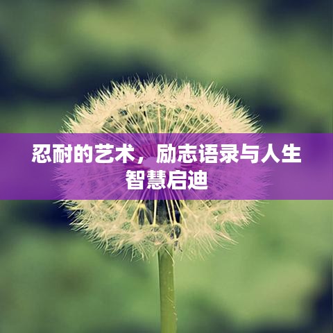 忍耐的藝術(shù)，勵(lì)志語(yǔ)錄與人生智慧啟迪