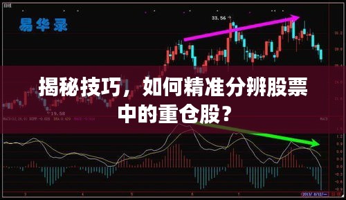 揭秘技巧，如何精準(zhǔn)分辨股票中的重倉股？