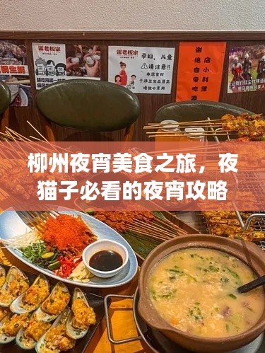 柳州夜宵美食之旅，夜貓子必看的夜宵攻略！