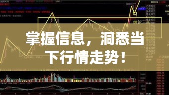 掌握信息，洞悉當下行情走勢！