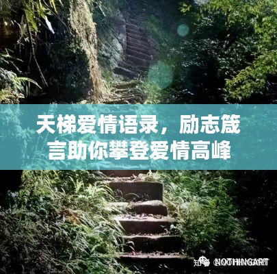 天梯愛情語錄，勵(lì)志箴言助你攀登愛情高峰