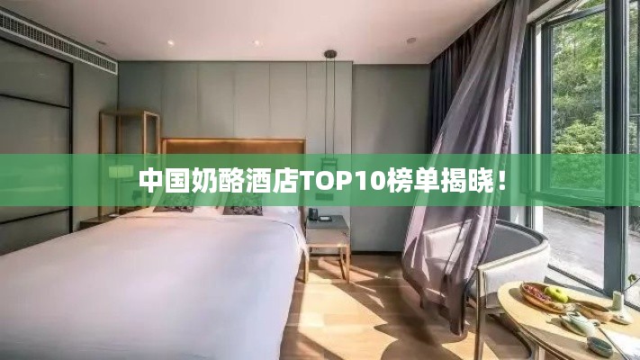 中國(guó)奶酪酒店TOP10榜單揭曉！