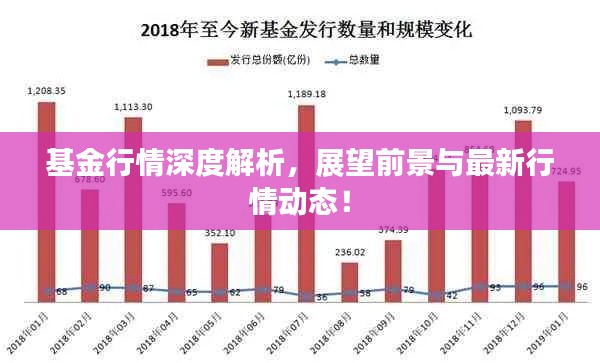 基金行情深度解析，展望前景與最新行情動(dòng)態(tài)！