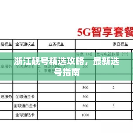 浙江靚號(hào)精選攻略，最新選號(hào)指南