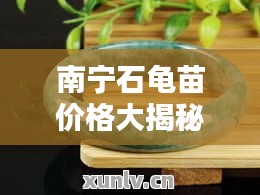 南寧石龜苗價格大揭秘，最新行情分析！