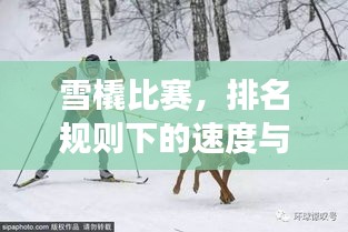 雪橇比賽，排名規(guī)則下的速度與激情角逐