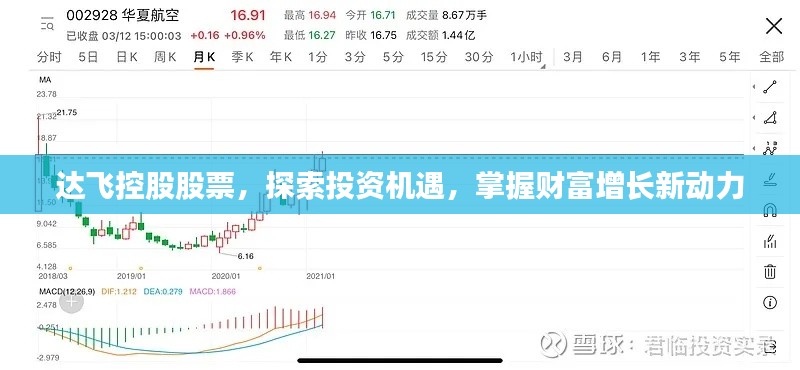 達(dá)飛控股股票，探索投資機(jī)遇，掌握財(cái)富增長新動(dòng)力