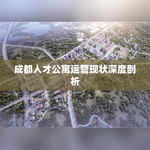 成都人才公寓運營現狀深度剖析