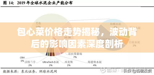 包心菜價(jià)格走勢(shì)揭秘，波動(dòng)背后的影響因素深度剖析