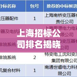 上海招標公司排名揭曉，行業(yè)影響力大揭秘！