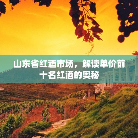 山東省紅酒市場，解讀單價前十名紅酒的奧秘