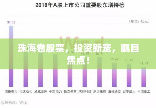 珠海卷股票，投資新寵，矚目焦點(diǎn)！