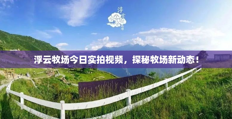 浮云牧場(chǎng)今日實(shí)拍視頻，探秘牧場(chǎng)新動(dòng)態(tài)！