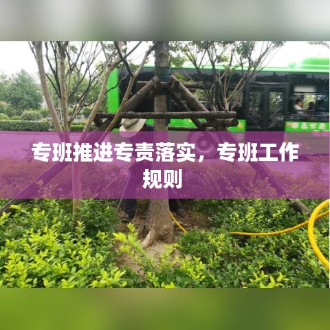 專班推進(jìn)專責(zé)落實(shí)，專班工作規(guī)則 