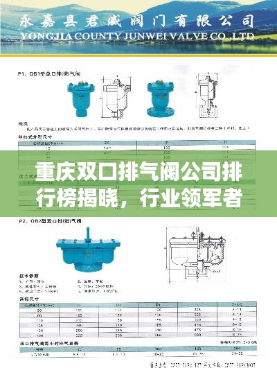 重慶雙口排氣閥公司排行榜揭曉，行業(yè)領(lǐng)軍者榜單！