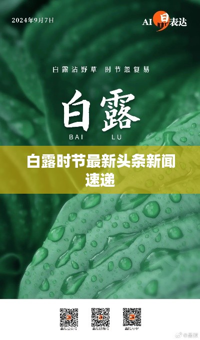 白露時(shí)節(jié)最新頭條新聞速遞