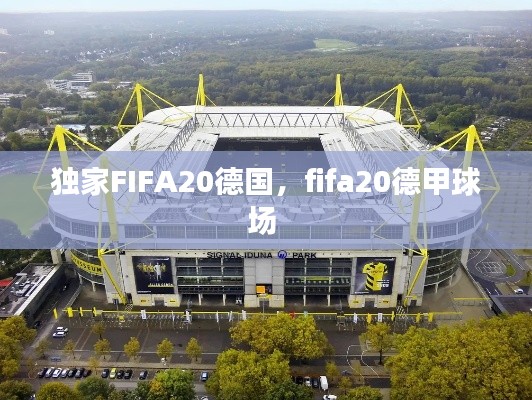 獨家FIFA20德國，fifa20德甲球場 