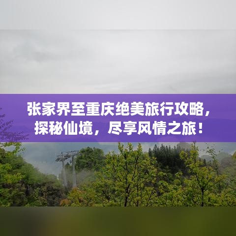 張家界至重慶絕美旅行攻略，探秘仙境，盡享風(fēng)情之旅！