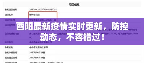 酉陽最新疫情實時更新，防控動態(tài)，不容錯過！