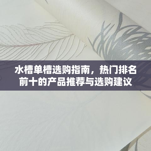 水槽單槽選購指南，熱門排名前十的產(chǎn)品推薦與選購建議