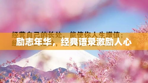 勵志年華，經(jīng)典語錄激勵人心