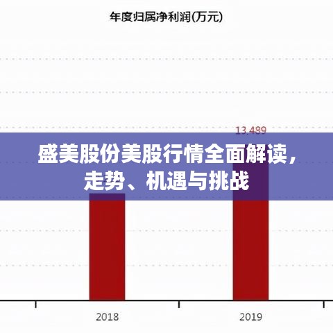 盛美股份美股行情全面解讀，走勢、機遇與挑戰(zhàn)